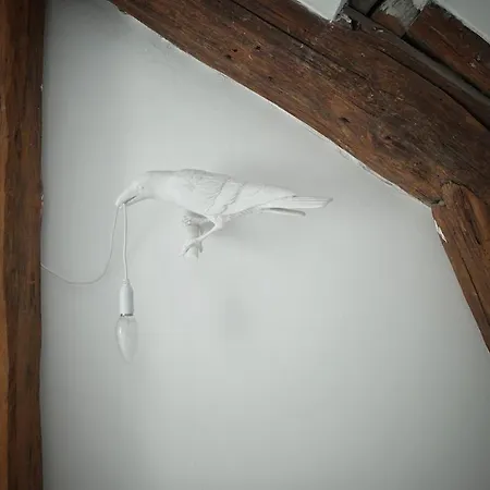 アパート Light Filled Architects Nest Between Rooftops *