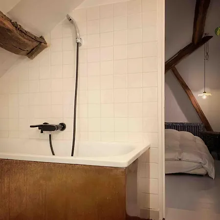 Light Filled Architects Nest Between Rooftops Apartment Paris