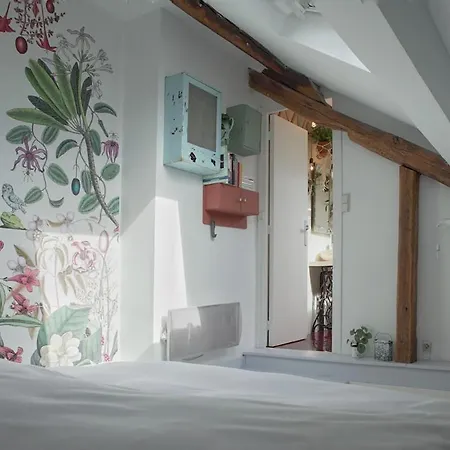 Apartment Light Filled Architects Nest Between Rooftops *