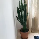 Light Filled Architects Nest Between Rooftops