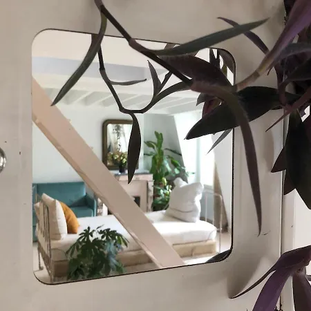 Light Filled Architects Nest Between Rooftops דירה