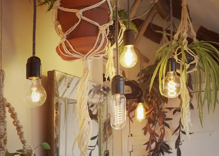 アパート Light Filled Architects Nest Between Rooftops