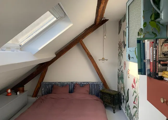 Light Filled Architects Nest Between Rooftops