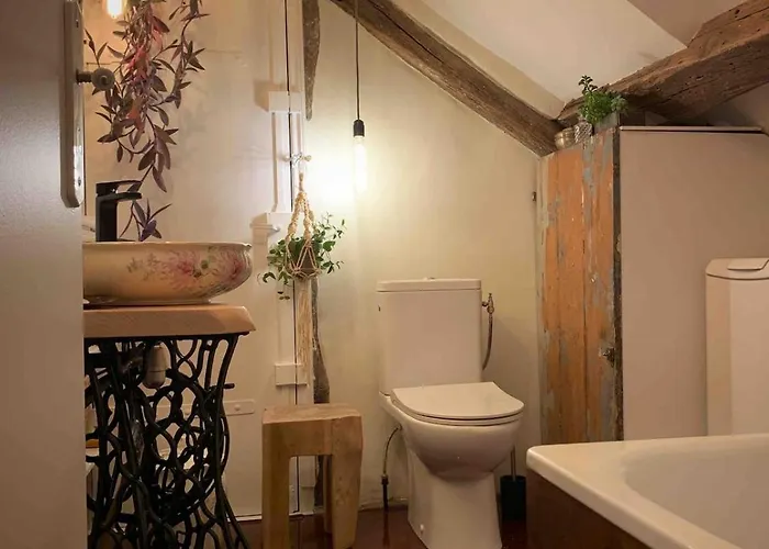 Light Filled Architects Nest Between Rooftops パリ