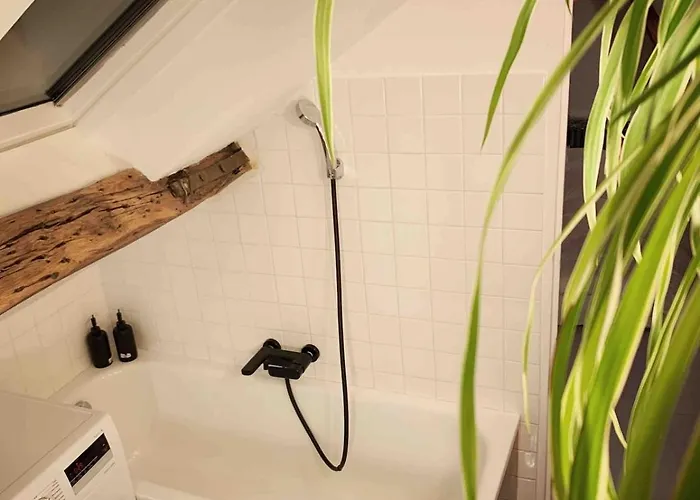 Light Filled Architects Nest Between Rooftops