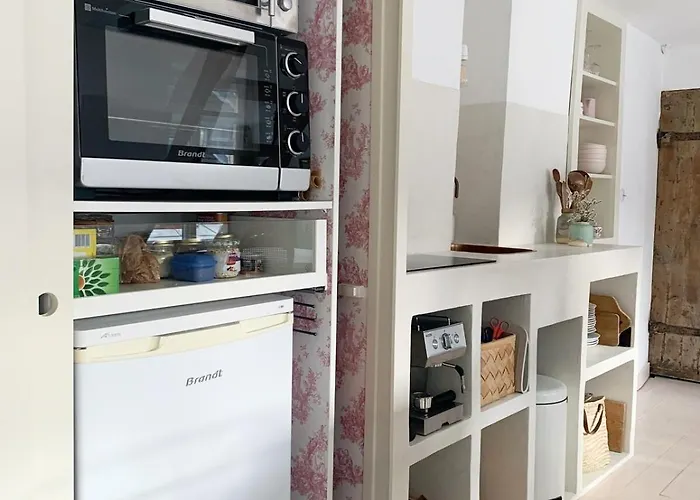Apartment Light Filled Architects Nest Between Rooftops Paris