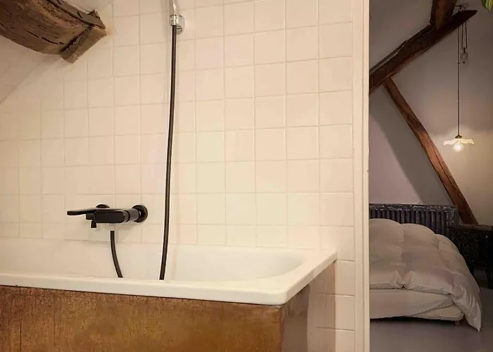 Light Filled Architects Nest Between Rooftops アパート パリ