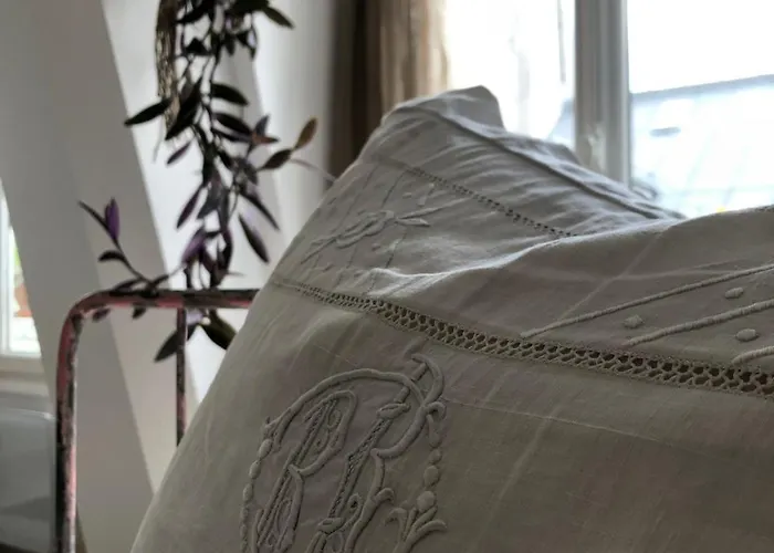 Light Filled Architects Nest Between Rooftops Parijs