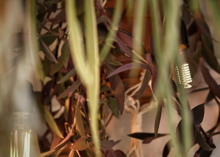 Light Filled Architects Nest Between Rooftops