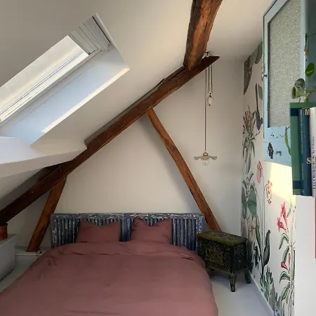 Light Filled Architects Nest Between Rooftops