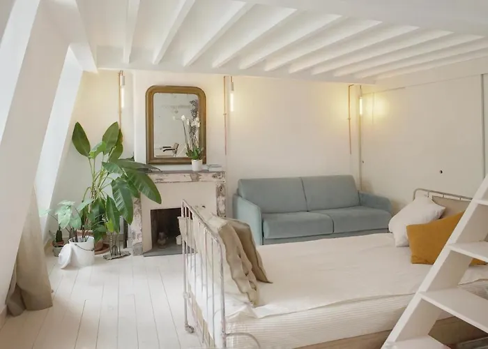 Light Filled Architects Nest Between Rooftops Appartement