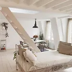 Light Filled Architects Nest Between Rooftops باريس