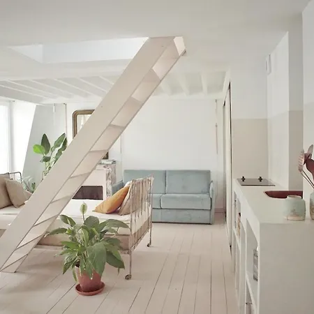 Light Filled Architects Nest Between Rooftops شقة