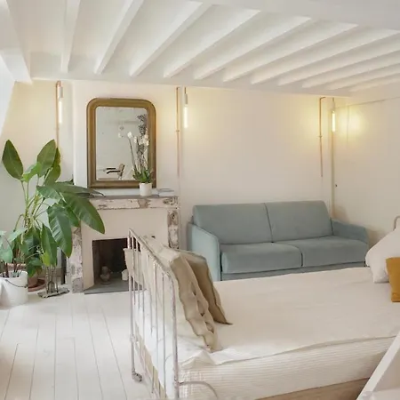 Light Filled Architects Nest Between Rooftops شقة